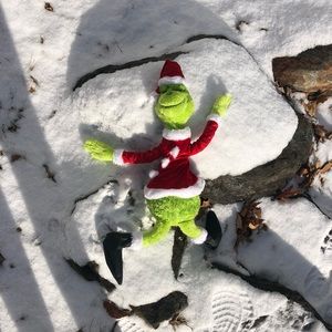 Meet your Posher, Wendy